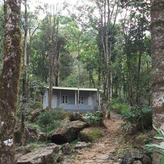 Feel Haunted Home stays, Wayanad 1